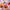 files/1754819988813438_e29f8ee5-e643-455d-9ae4-6bee574bc62c.png