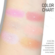 Multiuse Blusher Makeup Compact