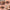 9-Pan Palette