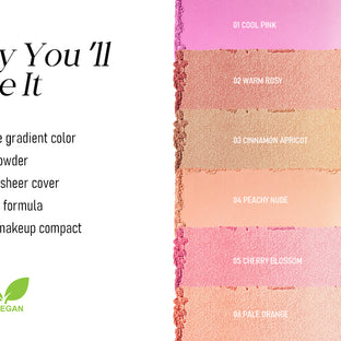 Multiuse Blusher Makeup Compact
